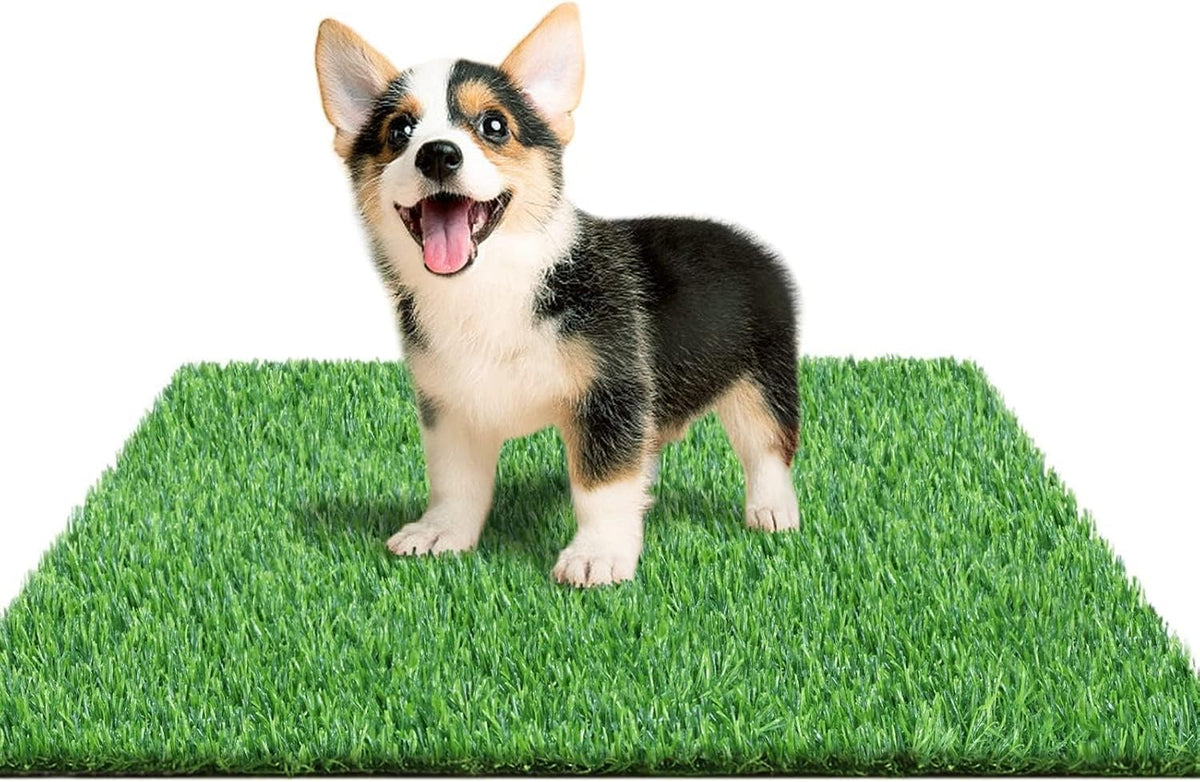 30 x 20 inches 2 Pack Fake Grass Pee for Dogs Artificial Grass Rug - 23.5 x 19.5 Inch (Pack of 1)