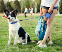 Taglory Retractable Dog Leash, One-Handed Brake, Up to 44 lbs - Blue / Large - image 2