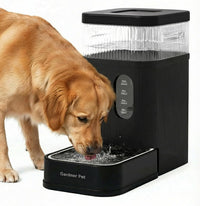 2.2 Gallon Automatic Dog Water Dispenser with Stainless Steel Bowl – Essentials for Dogs - Black / 2.2 Gallon