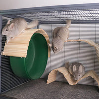 YKD Chinchilla Natural Birch Wood Flexible Platform Toys – Essentials for Small Pets - image 2
