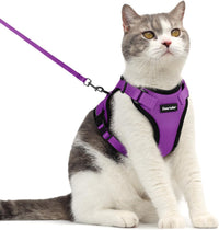 Cat Harness and Leash Set, Adjustable and Escape Proof - Purple / M
