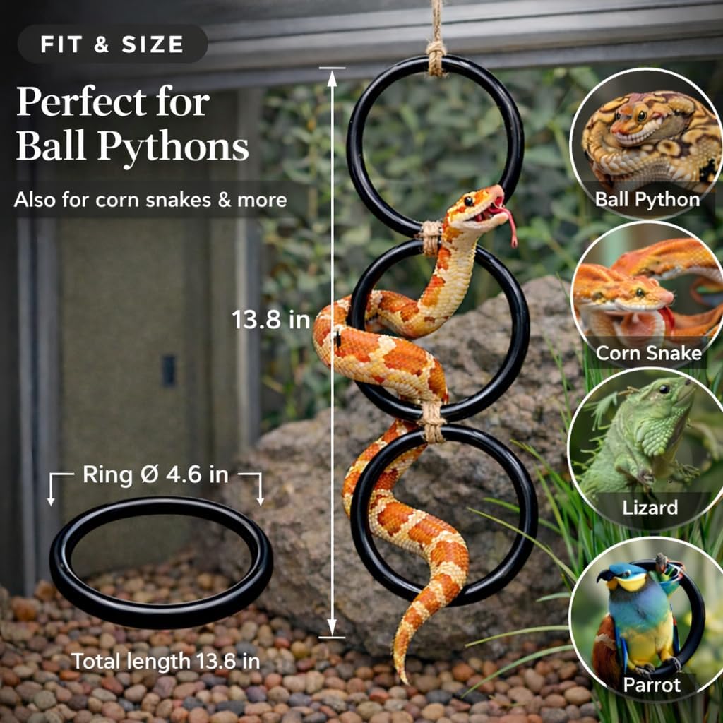 2PCS Snake Climbing Rings for Ball Python - image 4