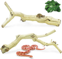 VCEPJH Snake Climbing Branch - Panlong Wood (L:13.7"-15.7"-2pcs) / 2