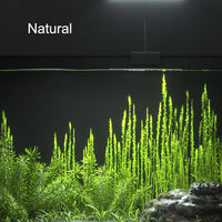 Aquarium LED Light USB 5V1A RGBW 5730 Timmer 1~10Gal Fish Tank Clip - 13.0 Watt Hours - image 4