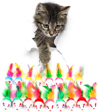 FYNIGO Cat Mouse Toys 17 Pack