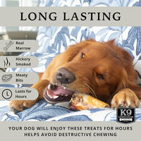K9 Connoisseur Beef Marrow Dog Bones Long Lasting for Aggressive Chewers - USA Made Single Ingredient Dynamo Bone for Small and Medium Dogs Upto 50 Pounds - 12 Pack