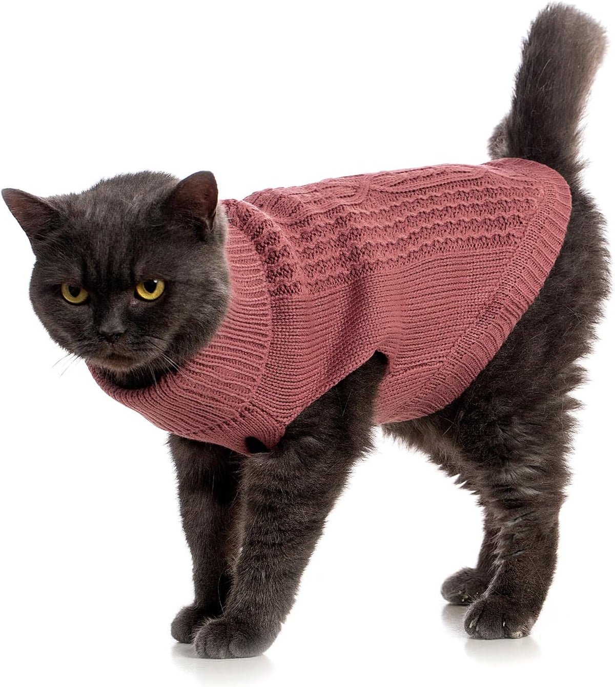 Cat Sweater Stretchy, 19 Colors, 6 Sizes - Maple Leaf Red / Medium / Vest - image 3