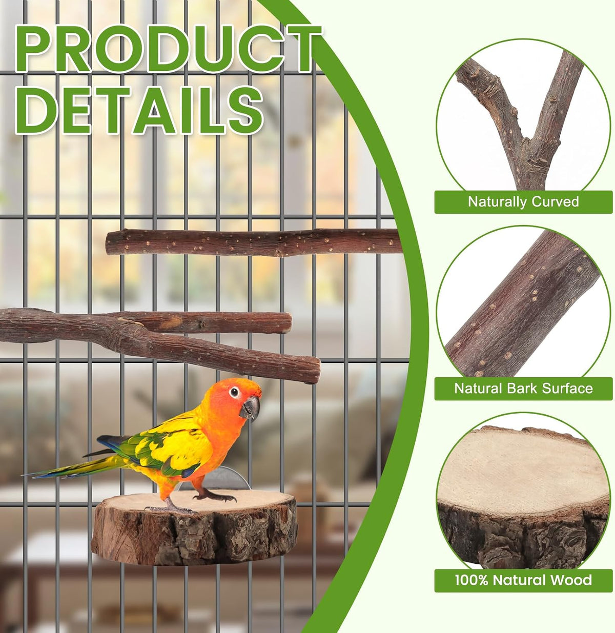 4 Pack Natural Wood Bird Perch Set for Parakeet Cage – Essentials for Birds - 9 Pcs - Deluxe Activity Set (With Cotton Rope) - image 3