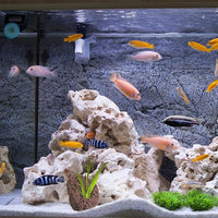 Housoutil Lava Rock Aquarium, 6PCS Aquarium Volcanic Stone Plant Fixer Ornaments, Double-Hole Fish Tank Rocks Ornament for Aquascaping, Fish Tank, Terrarium and Landscape Design