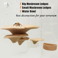 2 Pack Jumping Spider Accessories Mushroom Ledges & 1 Pack Water Bowl - beige - image 2