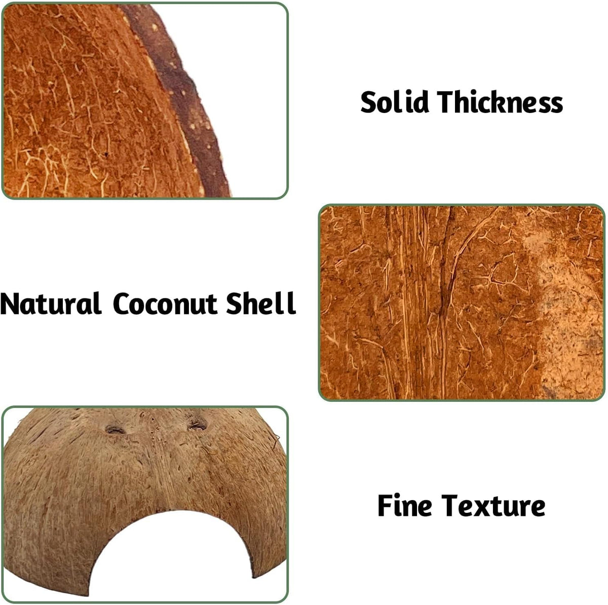 PINVNBY 2 PCS Natural Coconut Reptile Hideouts Lizard Coco Hut Hermit - Smooth Surface / 2 PCS - image 3