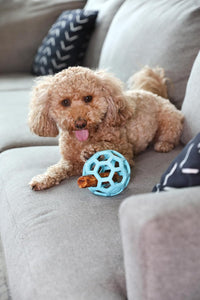 JW Pet HOL-ee Roller Dog Puzzle Ball, Large 5.5in - Blue / Medium - image 3