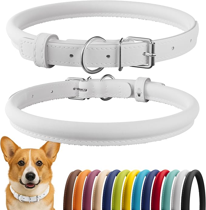 CollarDirect Rolled Leather Dog Collar, Soft Padded Round Puppy Collar, Handmade Genuine Leather Collar Dog Small Large Cat Collars 13 Colors (11-14 Inch, White Smooth)