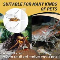 2 Packs Hermit Crab Pool, Ideal Hermit Crab Tank Combination - Small*2 - image 3