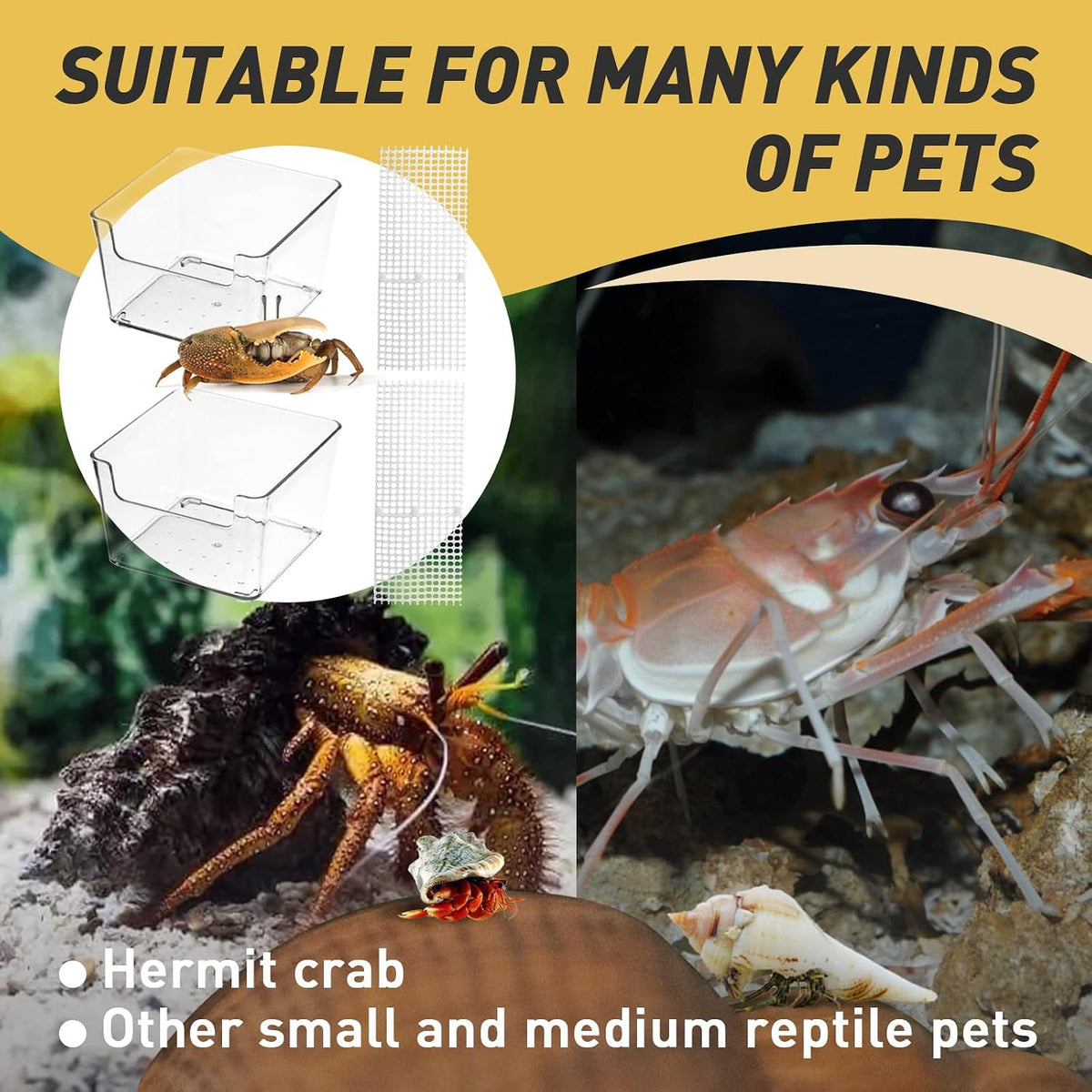 2 Packs Hermit Crab Pool, Ideal Hermit Crab Tank Combination - Small*2 - image 3