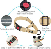 Haapaw Escape-Proof Martingale Dog Collar - Beige / S / 2-Pack Collars - image 3