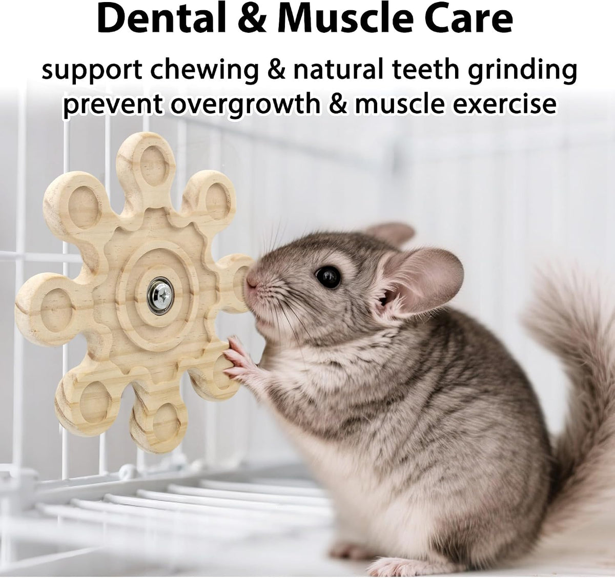 2Pcs Rotating Chinchilla Chew Toys - 2pcs / Small - image 4