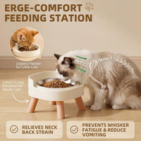 Elevated Cat Bowls, 2P Raised Cat Food and Water Bowl Set for Indoor Cats, Splash Proof with 2 - 2P Cat Bowls - White - image 3