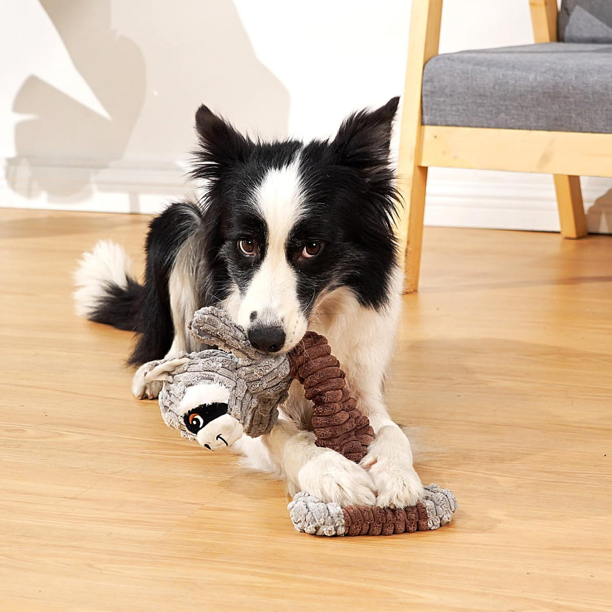 Tug of War Dog Toy, Crinkle Dog Toys for Large Dog - Raccoon - image 4