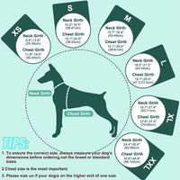 EMUST Dog Life Jacket, Waterproof, Breathable - XS / Turquoise - image 3