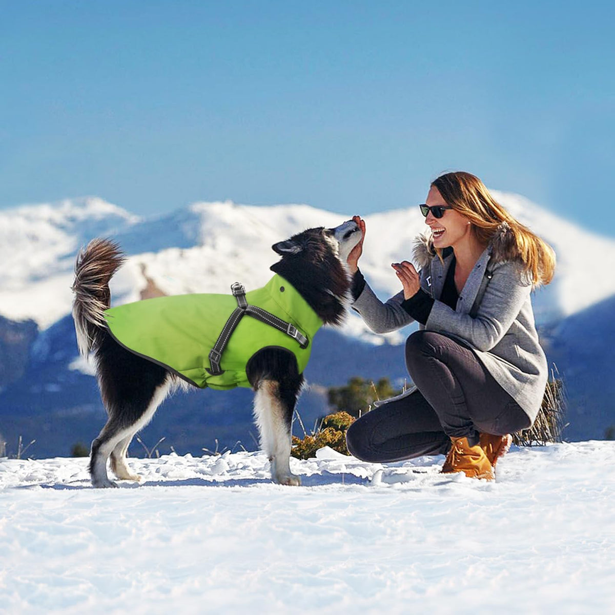 Dog Raincoat Waterproof Dog Hoodie Reflective Dog Raincoat Hooded - XL / Green - image 3