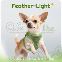 Eagloo Small Dog Harness and Leash Set - XS(Chest:13.3"-15.5") / Green - image 4