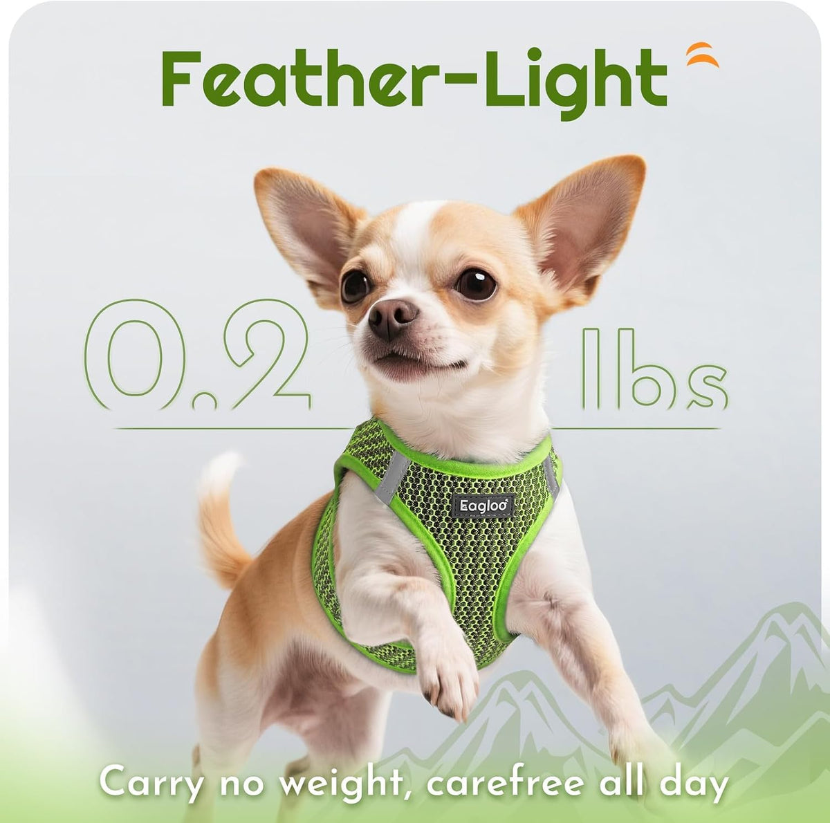Eagloo Small Dog Harness and Leash Set - XS(Chest:13.3"-15.5") / Green - image 4