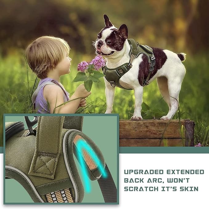 No Pull Dog Harness for Small Dogs, Adjustable No Choke Pet Vest with Dog Leash Fit Smart Reflective Pet Walking Harness for Training Easy Control Soft Handle Green S