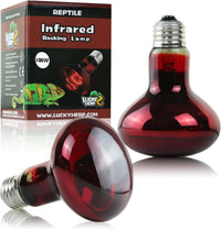 LUCKY HERP Intense Heat Lamp Bulbs for Reptiles 100W 2 Pack - Infrared Basking Light Bulb / 100 Watts