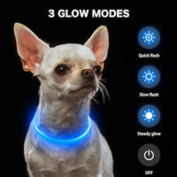 BSEEN Light Up Dog Collar, High Visibility LED Dog Collar Rechargeable- Rainproof TPU Cuttable Glowing Pet Collar for Small Dogs & Cats - Puppy Safety Lights for Night Walking (XS- Blue 40cm)