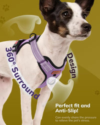 MIDOG No-Pull Dog Harness | Adjustable & Reflective Pet Harness Leash Set for Small Medium Large Dogs Walking, Training| No Choke, Front Clip, Soft Padded Vest with Easy Control Handle - Purple, M