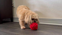 Puppy and Small Breed Snuffle Interactive Foraging Dog Puzzle Ball Toy Red with Crinkle