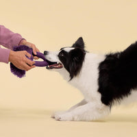 Playology Tug Rope Dog Toys for Large Dogs, Peanut Butter Scent - Jumbo / Bacon - image 2