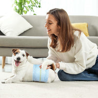 Disposable Belly Bands for Male Dog, Super Absorbent S – Essentials for Dogs - M / 20.0 - image 3