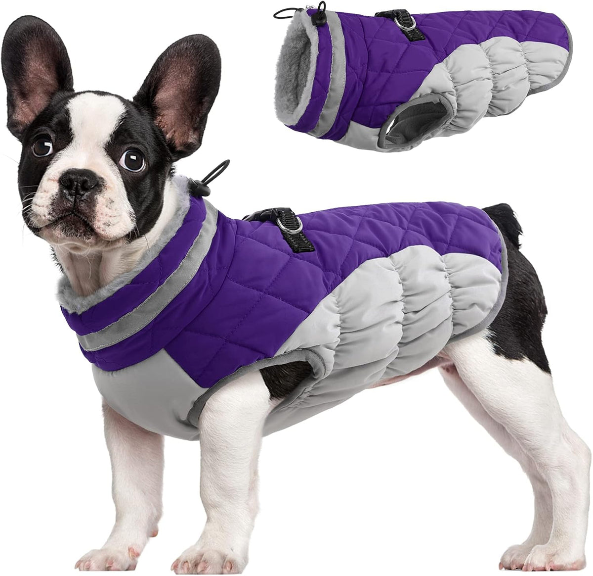 Dog Cold Weather Coats Reflective Dog Warm Jacket with Harness – Essentials for Dogs - Purple / M(chest:21in)