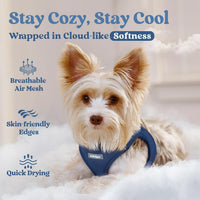 rabbitgoo Step-in Small Dog Harness - Navy Blue / S(chest:15.1"-16.5") - image 3