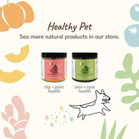 kin+kind Organic Fiber for Dogs&Cats - Pumpkin Boost for Healthy Poops - Digestive Health - Flax Seed, Ginger, Turmeric and Coconut - Made in USA - Bundle (3 x 8 oz)