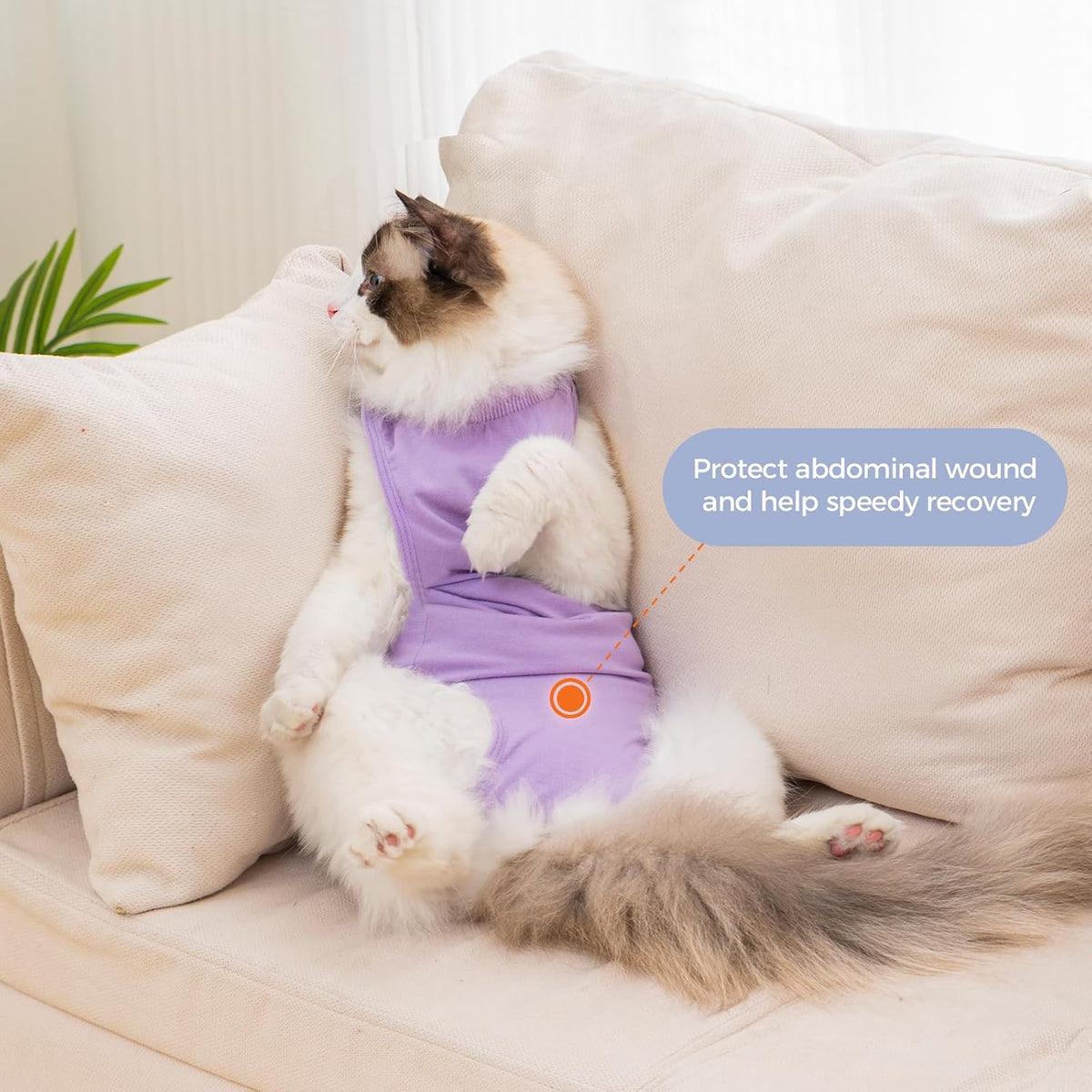 Purple Avont cat recovery suit size M in breathable cotton - view 4