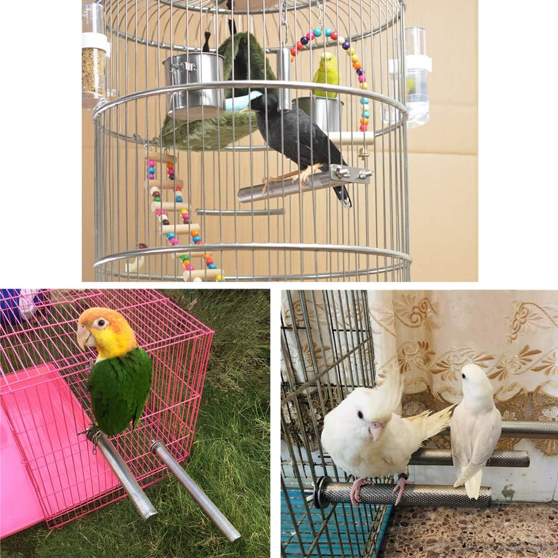 Litewoo Stainless Steel Parrot Perch Grinding Stand for Large Bird - XL: 12.22x 1.22inch - image 4