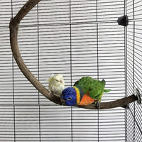 Parrot Perch Stand Bird Cage Stand Pole Natural Wild Grape Stick Grinding Paw Cage Accessories for Parakeet Cockatiels Budgies Conure Lovebirds Platform (U-Shaped)