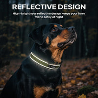 PetiFine Dog Collars for Medium Dogs - Green / Large (19"-23") - image 2