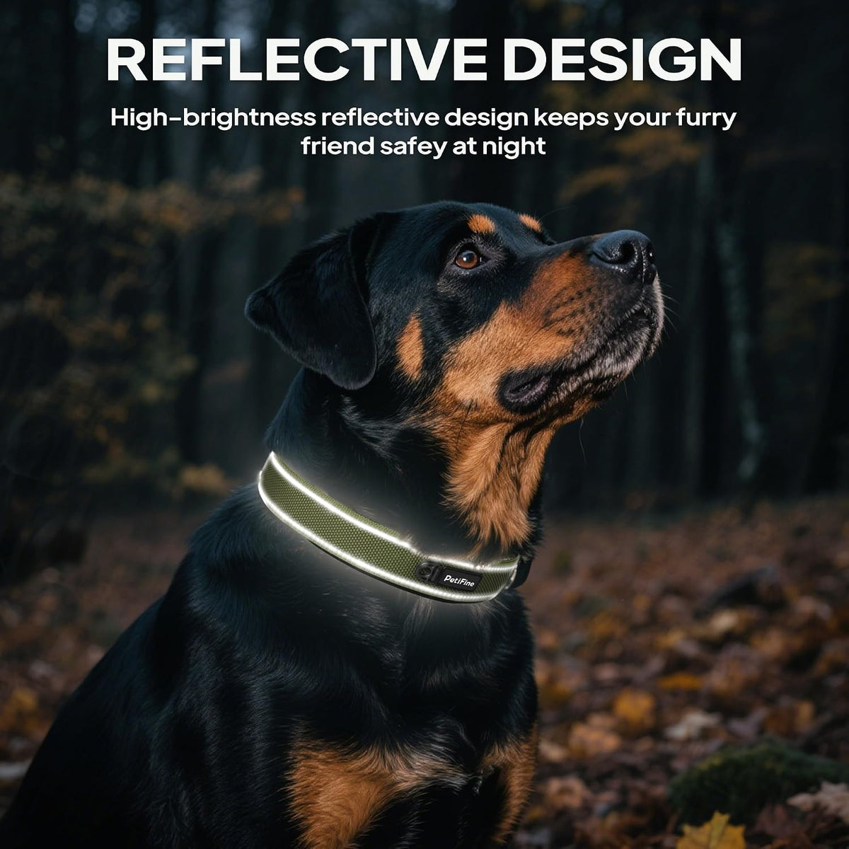 PetiFine Dog Collars for Medium Dogs - Green / Large (19"-23") - image 2