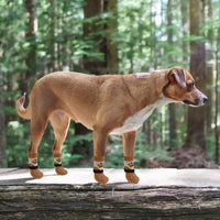 Dog Socks Shoes for Hot Pavement - Khaki+brown / X-Large(4 Pack) - image 2