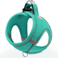 Joytale Step-in Dog Harness, Soft Breathable Mesh, Black S – Essentials for Dogs - L--Chest: 18.5-21.5'' / Teal