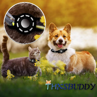 for Air tag Cat Collar Holder for Apple Air Tag - Ci-2xBlack - image 2