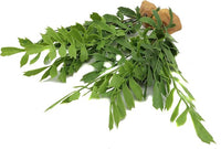 JIHAQUA Lifelike Reptile Tank Plant Decor - Realistic Artificial Plastic Plant for Terrariums and Pet Enclosures (Style D 2 Pack)