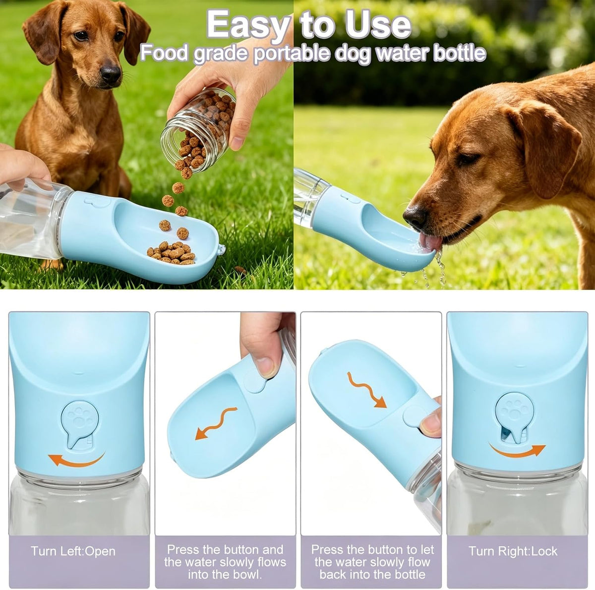 Portable Dog Water Bottle with Food Container - Sky Blue / 12oz - image 2