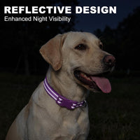 Reflective Dog Collar, Neoprene Padded Small Dog Collar, S - X-Small (Pack of 1) / Dark Purple - image 4
