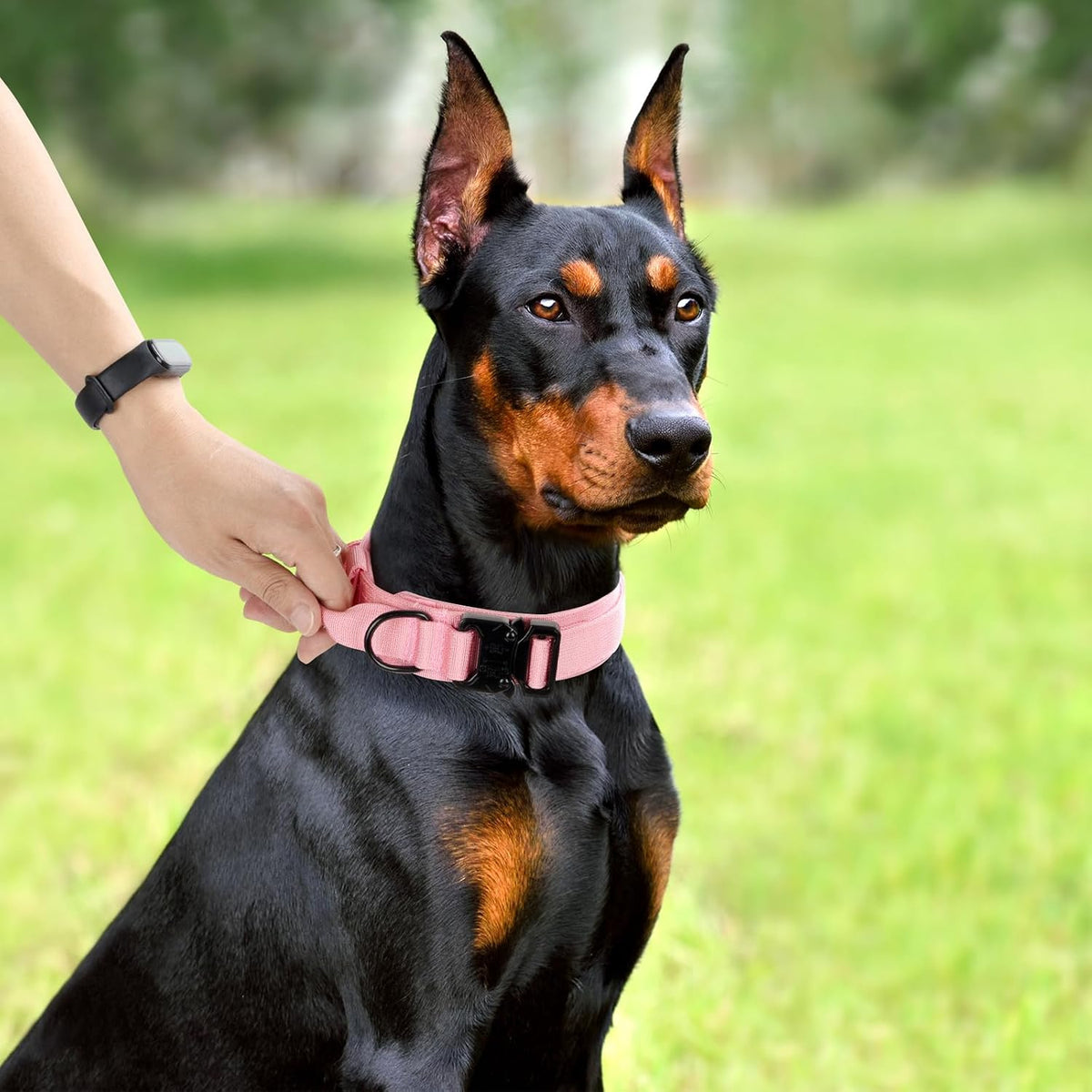 Tactical Dog Collar, Adjustable Military Training Nylon Pet Collar, Black L – Essentials for Dogs - Light Pink / Large :Width 1.5",Neck 17-20.5" - image 2