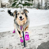 QUMY Dog Shoes for Large Dogs, Medium Dog Boots & Paw Protectors for Winter Snowy Day, Summer Hot Pavement, Waterproof in Rainy Weather, Outdoor Walking, Indoor Hardfloors Anti Slip Sole Purple Size 3